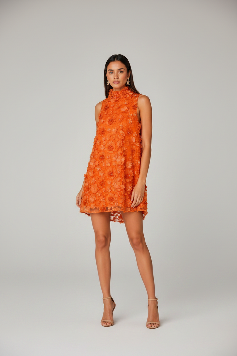 Floral Applique High Neck Sleeveless Mini Dress